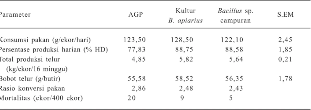 Tabel 2. Pengaruh Bacillus  apiarius  terhadap penampilan ayam petelur.