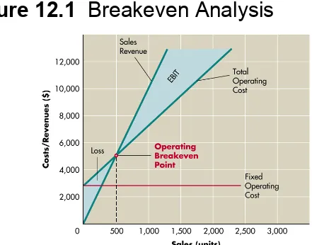 Figure 12.1  Breakeven Analysis