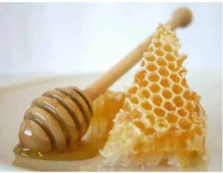 Gambar 1. Madu yang dihasilkan oleh lebah madu 