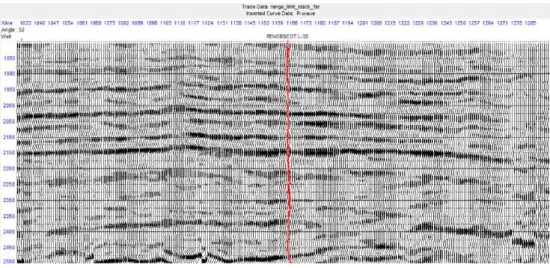 Gambar 3.8  Data seismik far angle stack 
