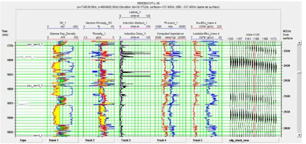 Gambar 3.9 Analisis petrofisika sumur L-30 