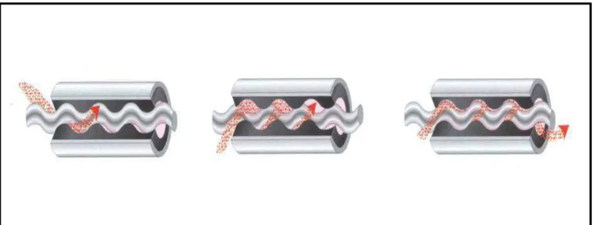 Gambar 3.4 Prinsip Kerja PCP  (Pertamina Jambi, Workshop., 2009)  3.3.2   Peralatan Progressive Cavity (PCP) 