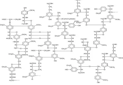 Gambar 2.1 Struktur lignin (Harkin, 1969) 