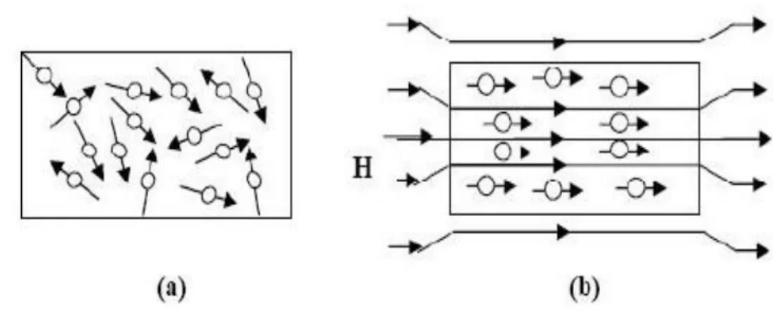 Gambar 2.9 (a)  Arah partikel magnet permanen isotropi  Gambar 2.9 (b) Arah partikel magnet permanen anistropi 