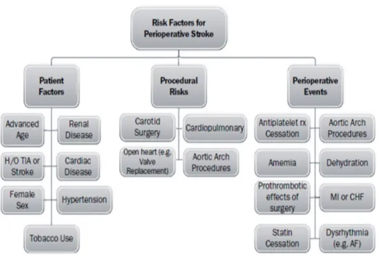 Diagram 1. Faktor Risiko Stroke Perioperatif