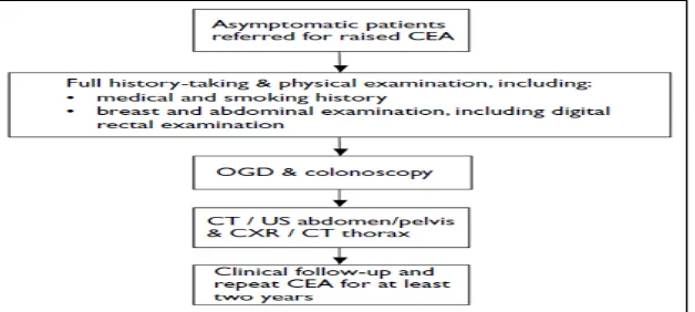 Gambar 2.4.1 Alogritma  Evaluasi pada Pasien Asimptomatik dengan  CEA yang Meningkat (Lim Y et al., 2009)