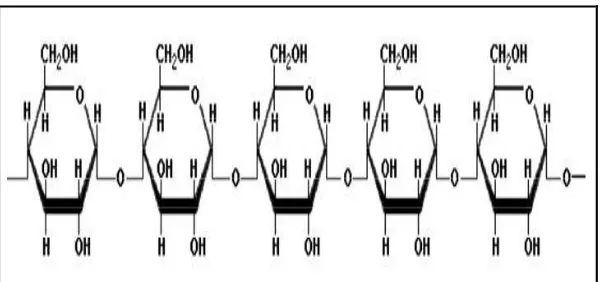 Gambar 2. Struktur Kimia Amilosa  (Fessenden, 2010: 644) 