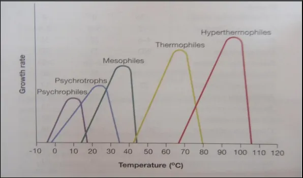 Gambar 1. Kisaran Suhu Pertumbuhan Mikroba (Prescott et al., 2008: 138)  Bakteri  termofilik  dikelompokkan  ke  dalam  beberapa  genus  yang  merupakan bekteri aerob dan yang lainnya merupakan bakteri anaerob