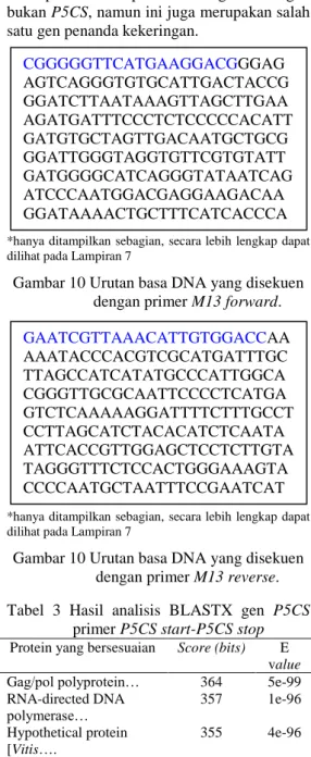 Gambar  9  Elektroforegram  isolasi  DNA  plasmid.  