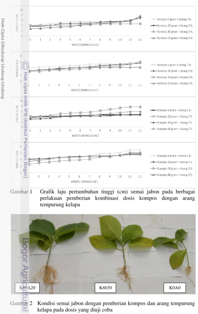 Gambar 1  Grafik  laju  pertumbuhan  tinggi  (cm)  semai  jabon  pada  berbagai  perlakuan  pemberian  kombinasi  dosis  kompos  dengan  arang  tempurung kelapa 