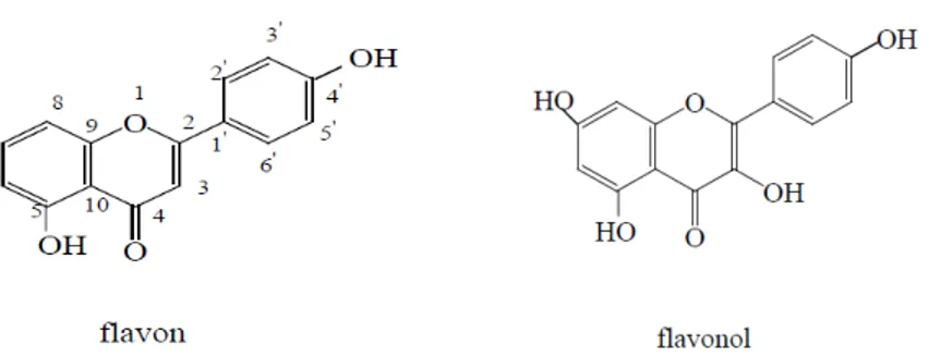 Gambar 9. Rumus bangun flafon dan flavonol         (sumber: http//: repository.usu.ac.id) 