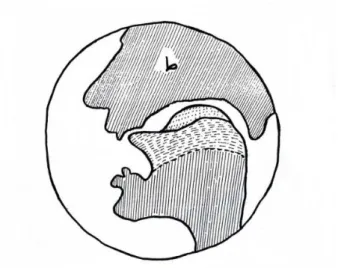 Gambar 3. Terjadinya bunyi konsonan  ؽ [ʈ ] 
