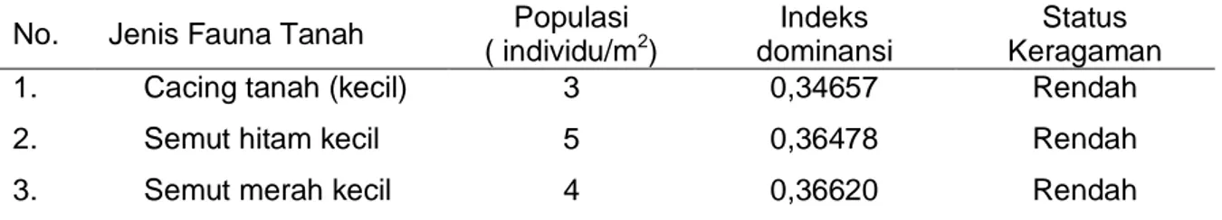 Tabel  1.  Populasi  fauna  tanah  pada  lokasi  penelitian  lahan  bekas  tambang  timah  di  Bangka  