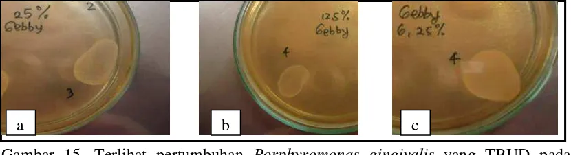 Tabel 3. Daya antibakteri ekstrak etanol kulit jeruk nipis pada penentuan KBM terhadap pertumbuhan Porphyromonas gingivalis