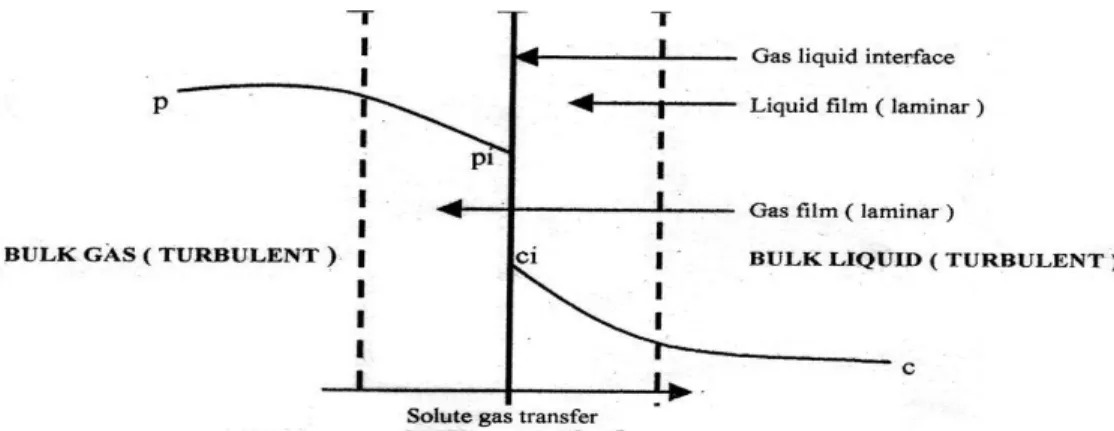 Gambar 2.1. Skematik mekanisme transfer gas 