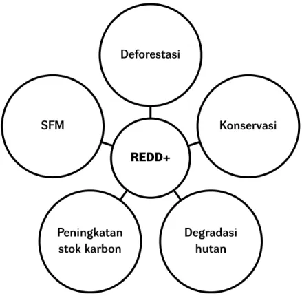 Gambar 1.  Ruang Lingkup REDD+ di Indonesia