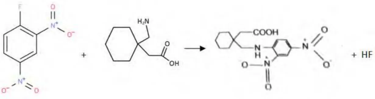 Gambar 1 reaksi derivatisasi Gabapentin dengan FDNB 