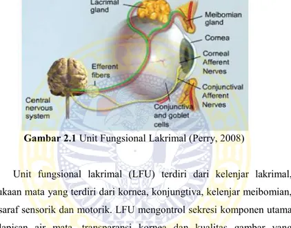 Gambar 2.1 Unit Fungsional Lakrimal (Perry, 2008) 