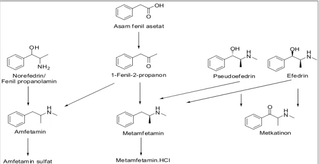 Gambar 2. Sintesis golongan metamfetamin