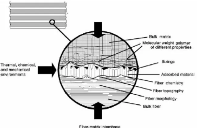 Gambar 5. Diagram skematis dari interphase matriks – penguat (fiber) dan beberapa faktor yang  berkonstribusi terhadap pembentukannya