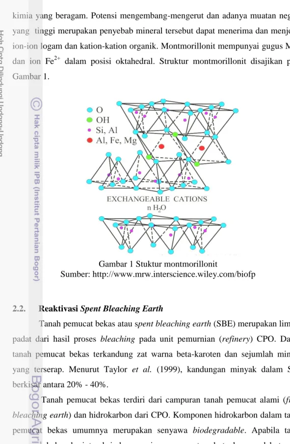 Gambar 1 Stuktur montmorillonit 