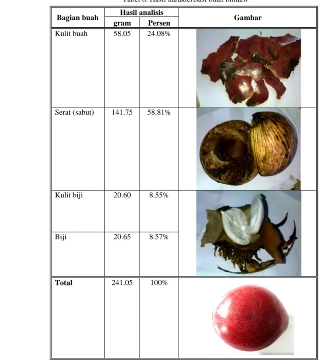 Gambar  gram  Persen  Kulit buah  58.05  24.08%  Serat (sabut)  141.75  58.81%  Kulit biji  20.60  8.55%  Biji  20.65  8.57%  Total  241.05  100%    