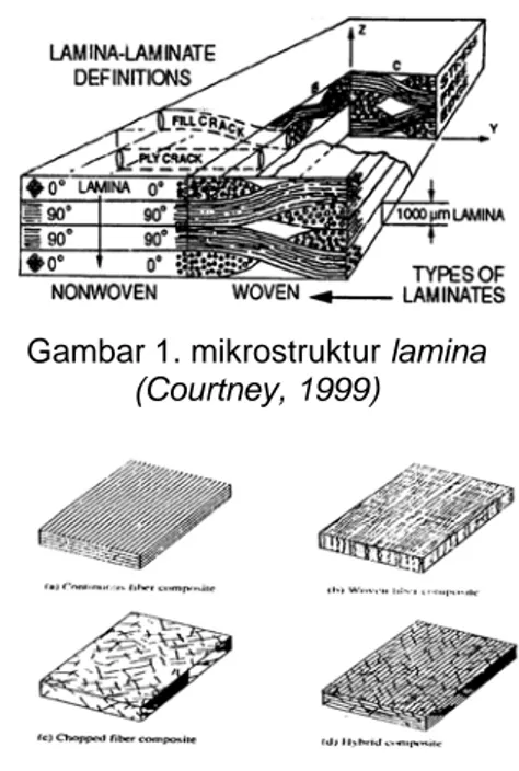 Gambar 1. mikrostruktur lamina  (Courtney, 1999) 
