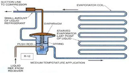 Gambar 2.11. Katup Ekspansi Terhubung Pada Receiver, Drier Dan Evaporator