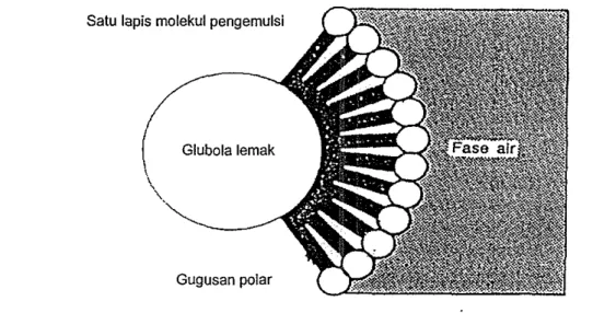 Gambar 9.  Skema orientasi molekul emulsifier (Hartman, 1947) 