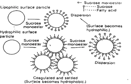 Gambar 10.  Kemampuan dispersi dari sukrosa monoester 