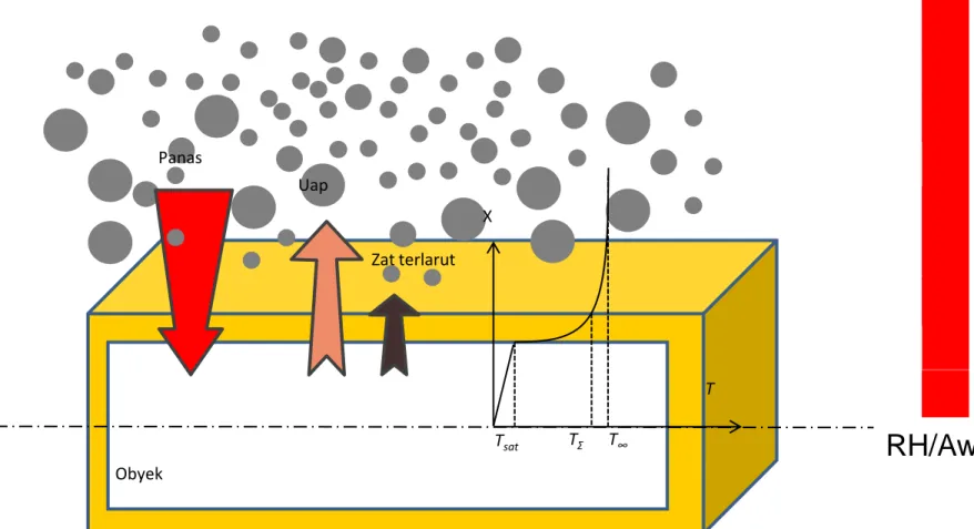 Ilustrasi Perubahan Kadar Air Selama  Penggorengan T T sat T Σ T ∞ Obyek Panas Uap Zat terlarut X RH/Aw