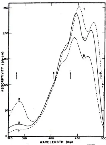 Gambar 4.  Spektrum absorbsi  3  macam stereoisomer  beta karoten,  trans beta  karoten T, neo beta karoten U, neo beta karoten B