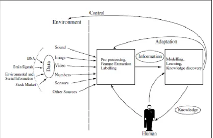 Gambar 2.8 Proses Interaksi ECOS  (Sumber: Kasabov, 2007) 