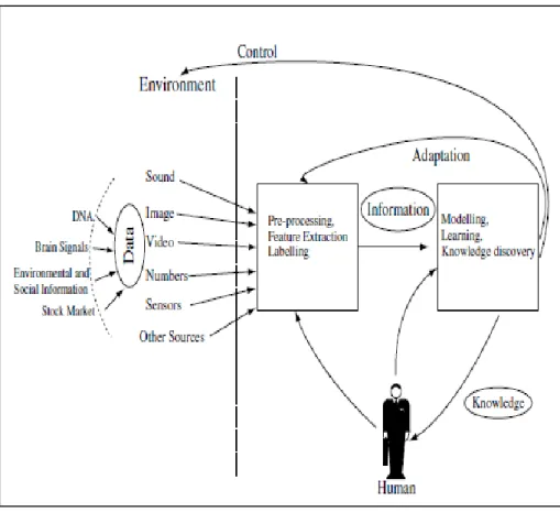 Gambar 2.14 Proses Interaksi ECOS (Kasabov, 2007) 