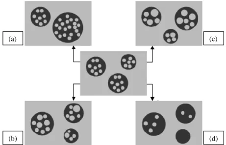 Ilustrasi 4. Morfologi Instabilitas Emulsi Ganda (Mezzenga et al., 2004)  Keterangan : (a) koalesens pada droplet minyak, (b) Difusi air dari fase eksternal 