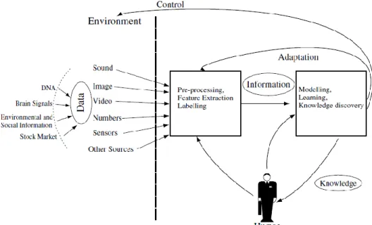 Gambar 2.7. Komponen ECOS (Kasabov, 2007) 