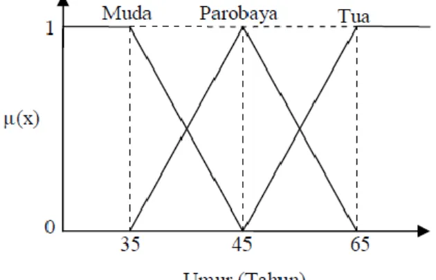 Gambar 2.2. Contoh grafik himpunan fuzzy pada variabel umur (Amiruddin, 2011) 