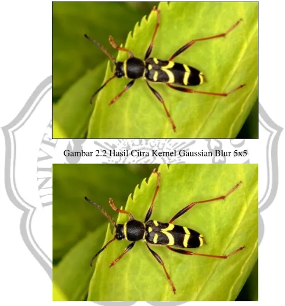 Gambar 2.2 Hasil Citra Kernel Gaussian Blur 5x5 