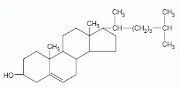 Gambar 2.1 Struktur kolesterol 