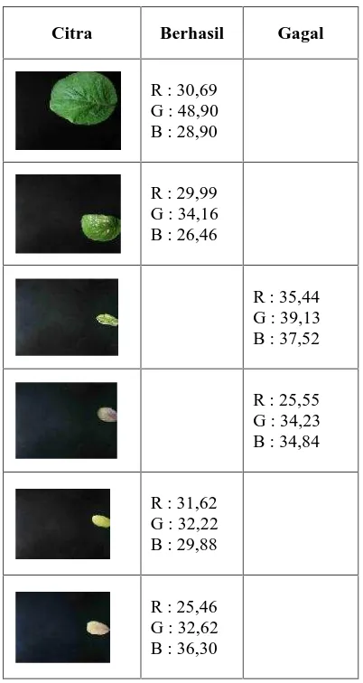 Tabel 1.Rata-rata warna RGB beberapa contoh citra