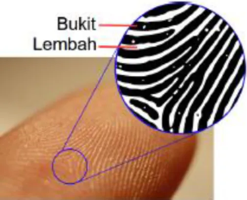 Gambar 2.2 Sidik Jari 