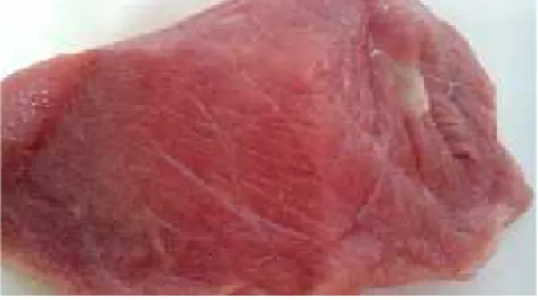 Gambar 2.1 Potongan Daging Sapi