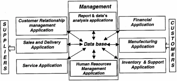 Gambar 1. Stuktur Data Base ERP  (Hamilton, 2002) 