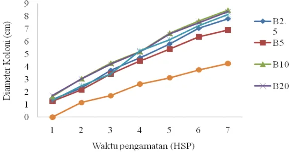 Gambar 1  Pertumbuhan koloni Fusarium  sp. pada media PDA dengan  penambahan ekstrak batang