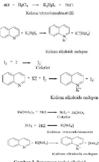 Gambar 3. Persamaan reaksi alkaloid 
