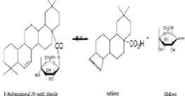 Gambar 6. Persamaan reaksi Steroid 