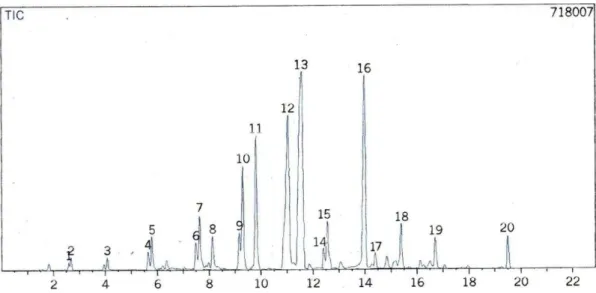 Gambar 2. Kromatogram hasil cracking metil ester dengan katalis Cr-H-ZA 