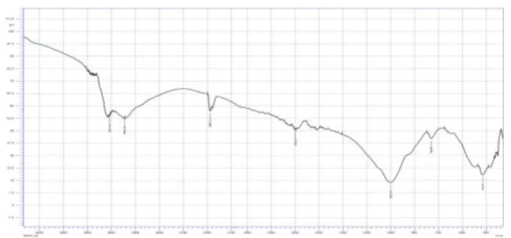 Gambar 1. Spektra IR dari Zeolit (HZ) 