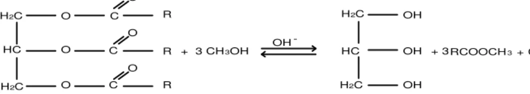 Gambar 2.  Reaksi Transesterifikasi Trigliserida  Menjadi Metil Ester Dengan Katalis Basa  Dari  uraian  di  atas,  dapat  diidentifikasi 