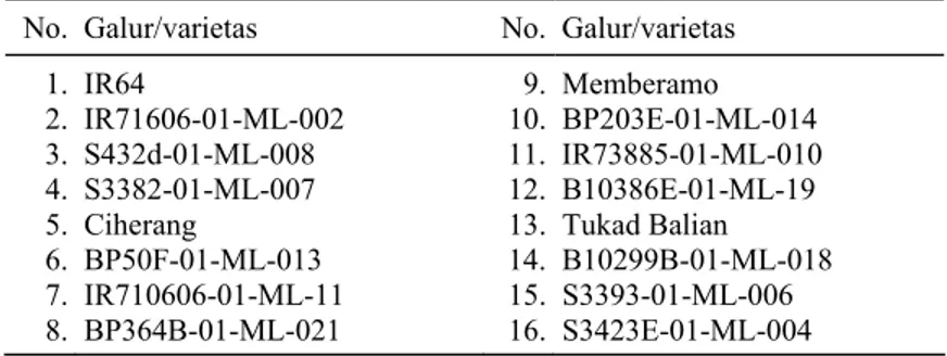 Tabel 1. Galur-galur padi sawah untuk uji multilokasi di Kabupaten  Badung, Bali, 2002/03